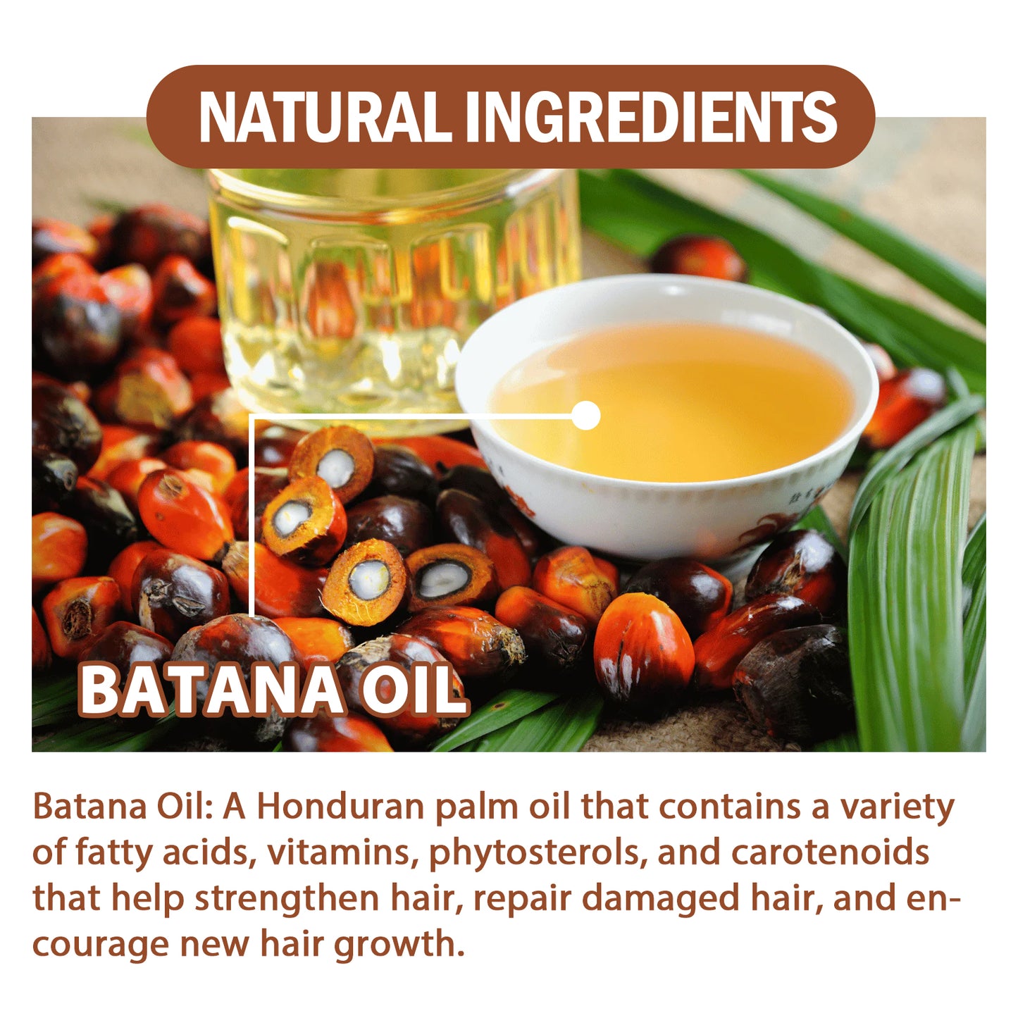 Batana Oil Conditioner Moisturizes, Repairs, Strengthens Hair Roots, Prevents Splitting, Dense Hair, And Solidifies And Fluffy Hair